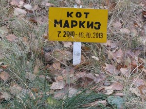 как правильно похоронить домашнее животное